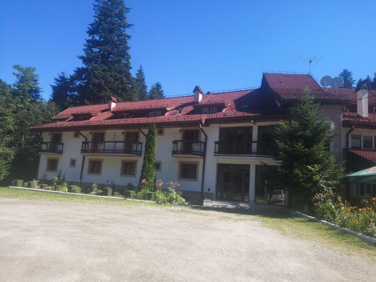 Hotel Floarea Reginei