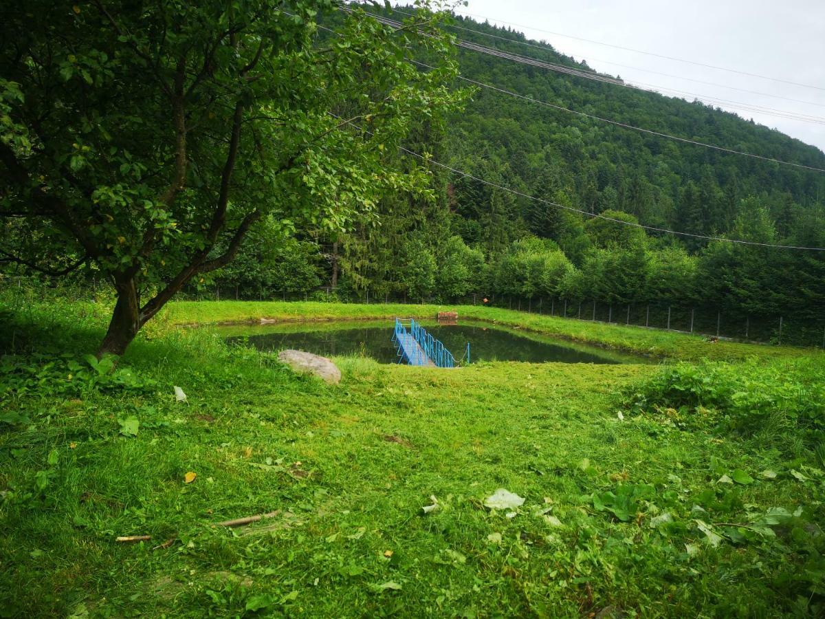 Floarea Reginei 2* Statiunea Climaterica Sambata